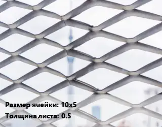 Сетка ЦПВС 10х5 s=0.5